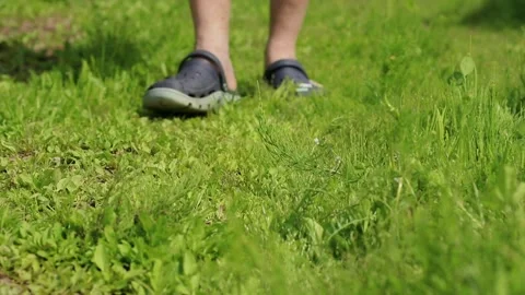 Man Feet Steps on Green Grass Meadow. Slow Living Concept. Close-up video Stock Footage 277831952