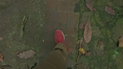 Man feet walking on forest path with some dry leaves on it. 動画素材 330611636