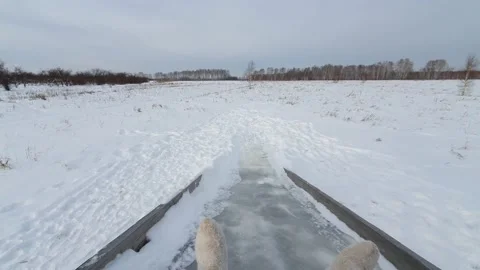 A man in felt boots is rolling down an ice slide. Winter fun Video stock 147577989