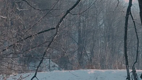 A man in a felt hat and coat comes in the winter woods. brown hat made of felt Stock Footage 72411339
