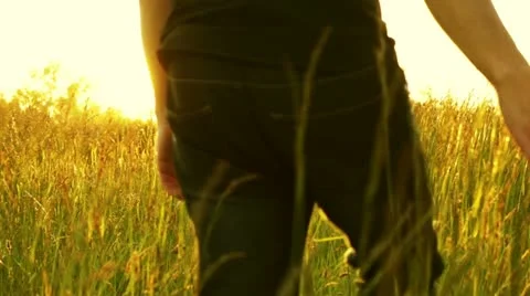 Man in field Stock Footage 11118534