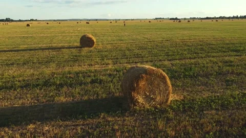 Man in a field with a haystack Stock Footage 158775568