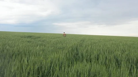 Man in the field, the horizon is visible Stock Footage 129105418