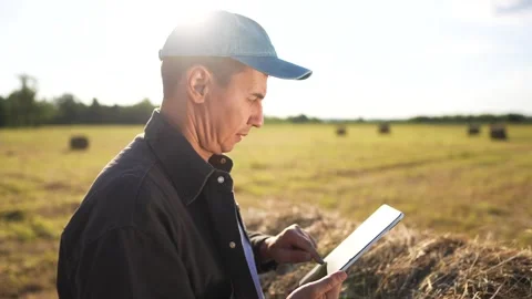 Man in field with tablet. Farmer working on field with haystacks and tablet Stock Footage 316686648