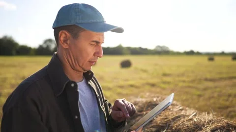 Man in field with tablet. Farmer working on field with haystacks and tablet Video stock 318490555