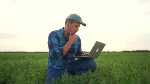 Man in field using laptop. Man farming on a field with laptop. Male working Stock Footage 318009184