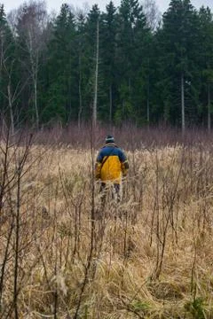 Man in the fields near the forest Stock Photos