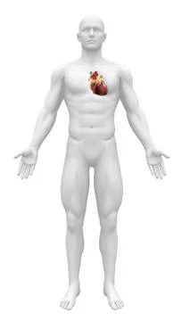 Man figure with heart 스톡 일러스트