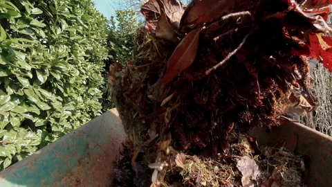 Man filling wheelbarrow with compost using pitchfork against green hedge. Stockbeeldmateriaal 332153777
