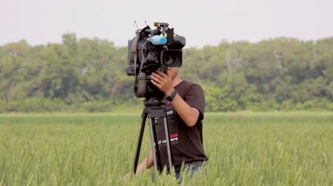 Man filming in wheat field Stock Footage 48769464