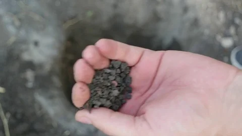 Man find an earthworm in the humus Stock Footage 80759262