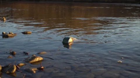 A man finds an old rusty clock in the water Stock Footage 120698893