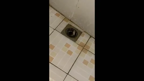 Man finds a snake in a shower filter in Bali, Indonesia Stock Footage 239846538
