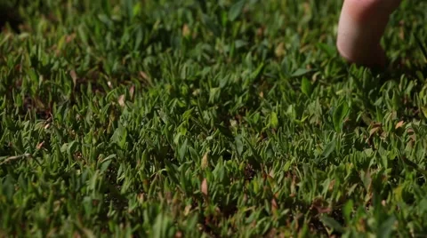 Man fingers walking on the grass. Close-up view Stock-Footage 49081837
