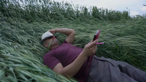 Man finishes work on tablet and goes to bed on wheat field Stock Footage 161738366