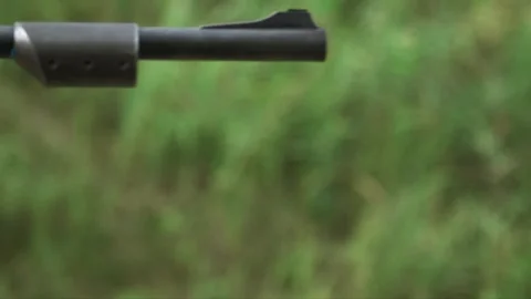 Man fires a gun with an optical sight Stock Footage 248846346