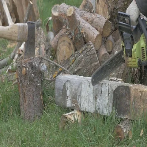 Man, firewood, axe, stack, chop, timber, time lapse, 4K Stock Footage 69520069