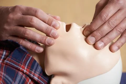 Man In First Aid Class Checking Airway On CPR Dummy Stock Photos