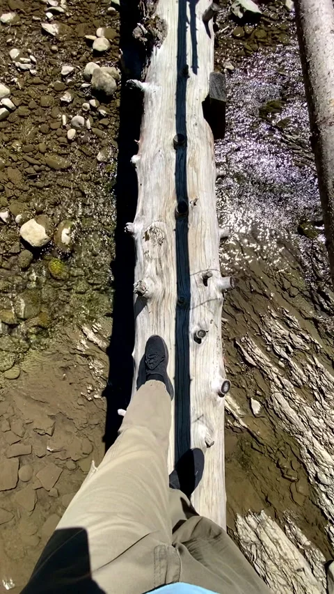 Man first person point of view walking by log bridge across river in carpathi Stock Footage 205301641