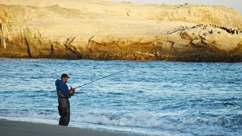 A man fish from a beach. Stock Footage 338261846