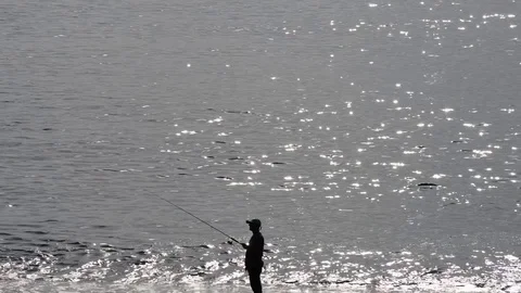 A man fishing on the beach in a backlight Stock-Footage 83538598