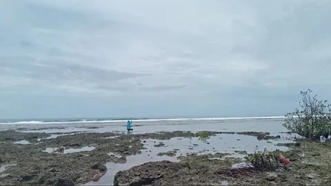 A man fishing Stock Footage 306021752