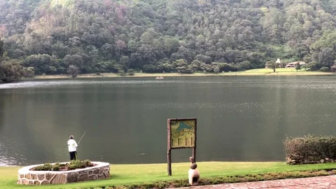Man fishing in the park Stock Footage 101858027