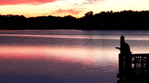 Man Fishing at Sunset Stock Footage 35942006