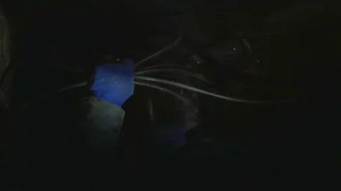Man with a flashlight on his head, working optical cable Stock Footage 74049563