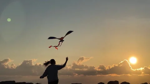 A man flies a kite as the sun sets, creating a happy atmosphere in the sky Stock Footage 274446313