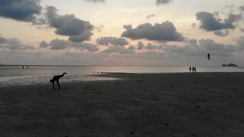 Man Flipping on Beach in Slow Motion in Koh Pha Ngan Thailand Stock Footage 142340538