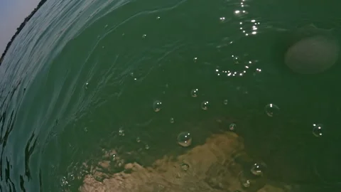 Man floating on back in clear lake water Stock Footage 255017827