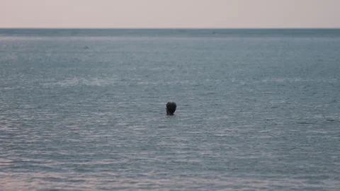 Man Floating on Back in Ocean Looking at Sunset Stock Footage 337533502