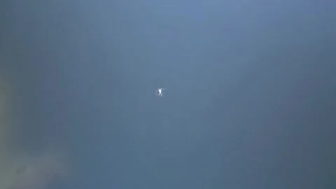 Man floating in cold lake water during late autumn, aerial view captures serene Stock-Footage 335891002
