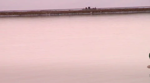 A man floating in the Dead sea 4 Stock Footage 531796