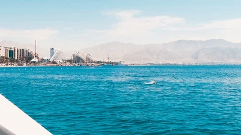 The man is floating on the turquoise sea Stock Footage 86231860