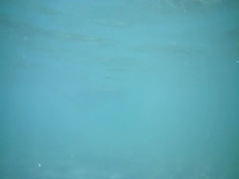 A man floating under the water,The bottom of the sea ,Mediterranean Sea Stock Footage 80150638