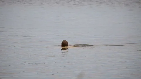 Man floats in the water Stock Footage 64363466