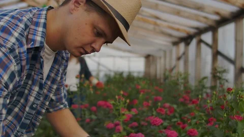 A man florist with a tablet computer examines and makes information about the Stock Footage 116911803