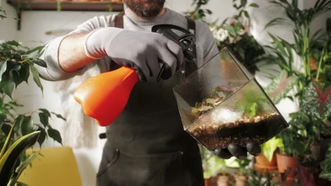 Man florist at work cleaning plants in small garden shop, male watering flowers Stock Footage 143963372