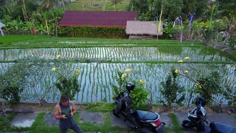 Man Flying Drone Shooting 4K Aerial Footage of Canggu Bali Rice Fields Stock Footage 101785562