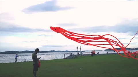 Man flying a huge orange octopus kite at Pasir Ris beach park Singapore Stock Footage 121842396