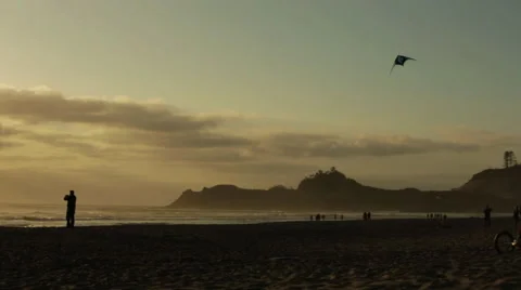MAN FLYING KITE ON THE BEACH AT SUNSET Stock Footage 53130112