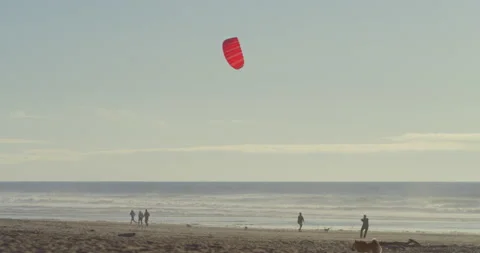 Man flying a kite at a Pacific ocean beach during sunset Stock Footage 150371827