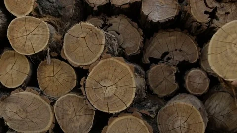 The man is folding logs Stock Footage 76277833
