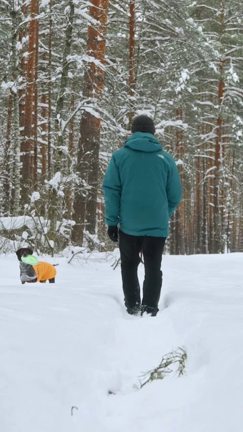 Man Following Dog on Forest Path Stock Footage 320803877