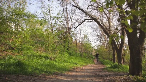 Man following the forest path and looking for wifi in the morning Stock Footage 75546839