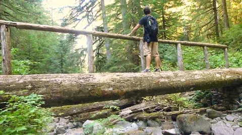 Man on Foot Bridge in Forest Stock Footage 12027938