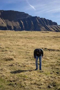 Man foraging, looking for psilocybin or magic mushroom, growing on horse dung -  Stock Photos