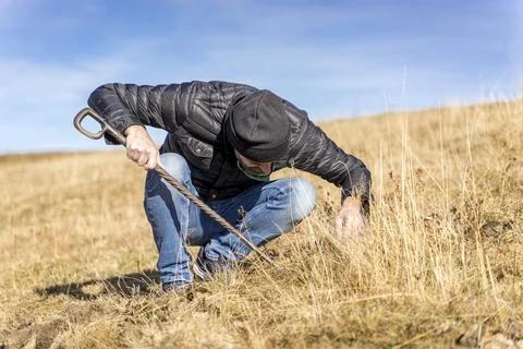 Man foraging, looking for psilocybin or magic mushroom, growing on horse dung -  스톡 사진